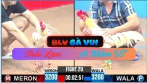 Trận 29 CPC3 25/05/2025 Cánh Anh Mắm VT Bị Gà Thái Chôn Chỉ 1 Chân Đầu