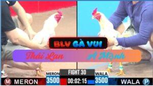 Trận 30 CPC3 25/05/2025 Chỉ 1 Nốt Nhạc Đầu Ru Gà Thái Lan Ngủ Ngục