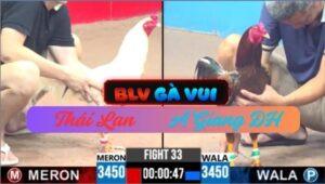 Trận 33 CPC3 25/05/2025 Thái Lan Đụng Anh Giang ĐH Thành Thái Dúi