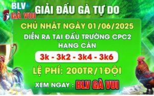 Giải Gà Tự Do Tại CPC2 Vào Ngày 1/6/2025